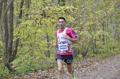 Les Foulees du Dragon 2025/FDRAGON_2025_06627.JPG